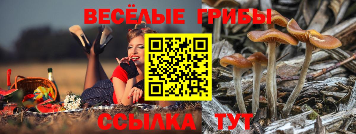 Галлюциногенные грибы мицелий Конаково
